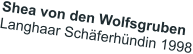 Shea von den Wolfsgruben Langhaar Sch�ferh�ndin 1998