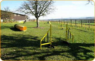 Euse Hundeplatz hoch �ber em Wehntal