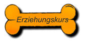 Erziehungskurs